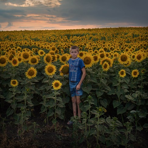  Sunflower Boy