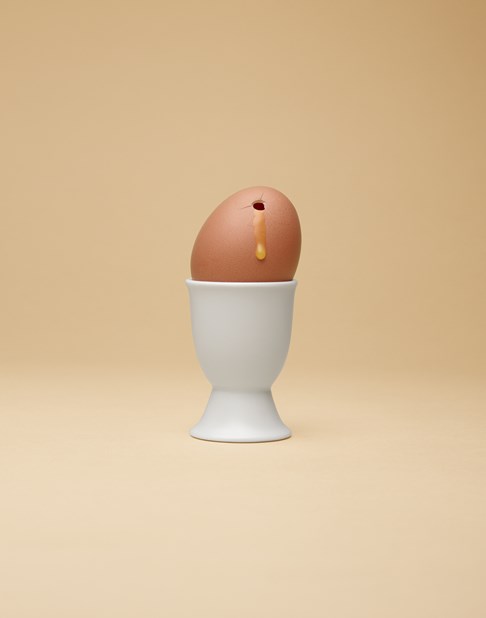  EXECUTED EGG