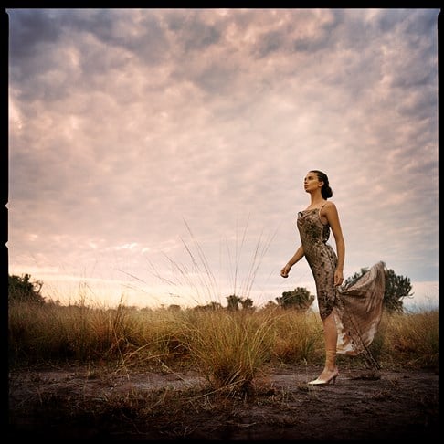  Safari Antilop, Frances Sprei, 2002