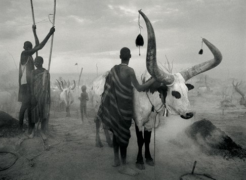  Dinka Cattle Camp of Kei, Southern Sudan, 2006