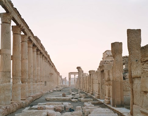  Palmyra #4