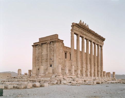 Palmyra #6