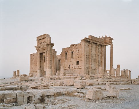  Palmyra #7