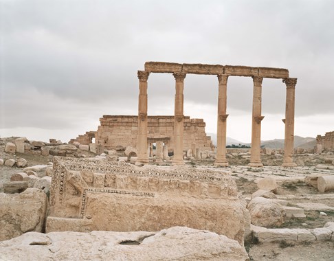 Palmyra #8