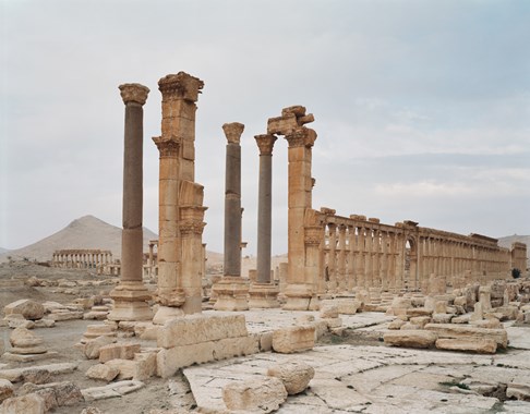  Palmyra #10