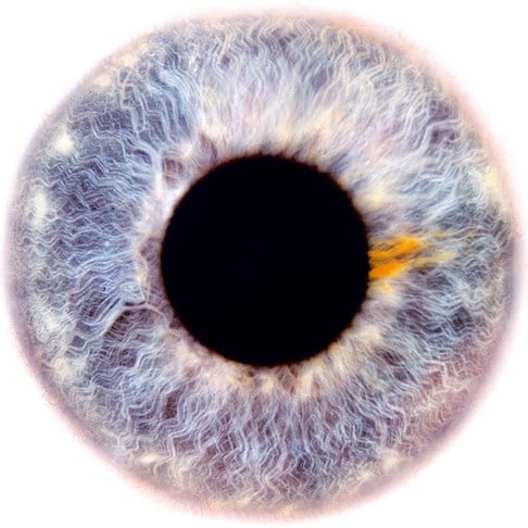  Dilation “Eyescape” 2012