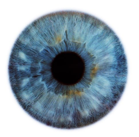  Dark Blues “Eyescape” 2012