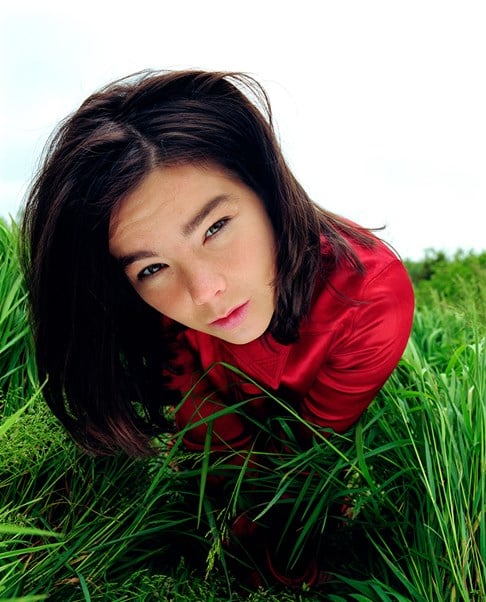  Björk in Nature, 1994